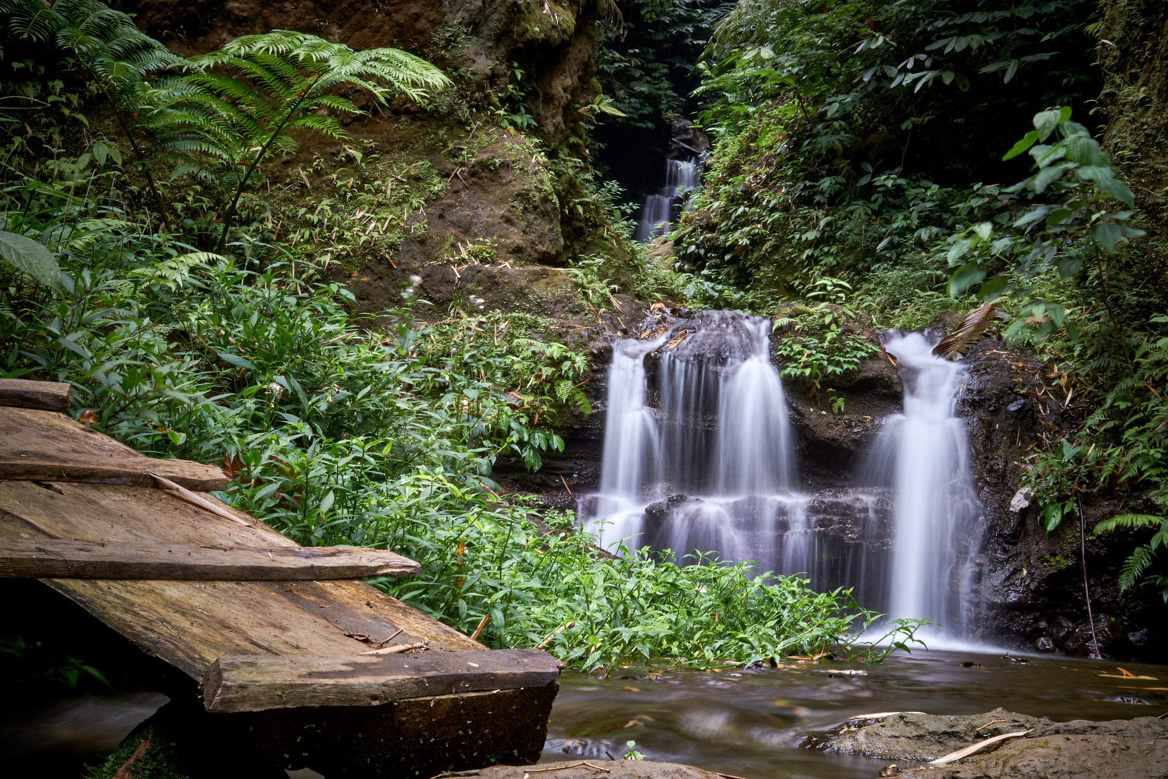 munduk, bali (3).webp